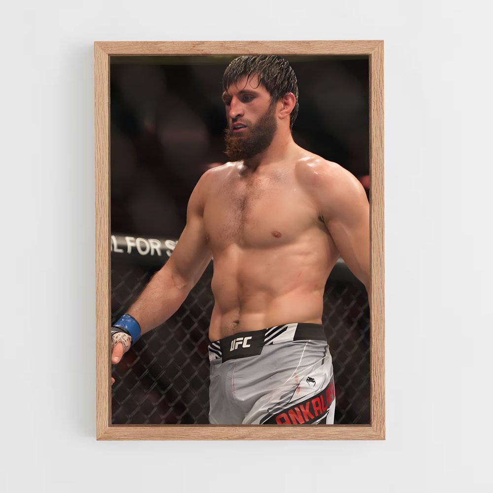 Poster L'Ascension d'Ankalaev – affiche MMA (vue 4)